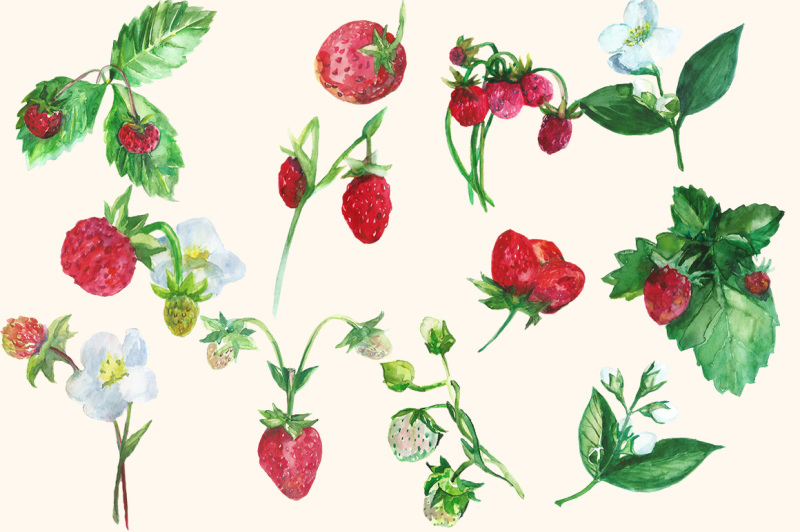 watercolor-strawberry-clip-art