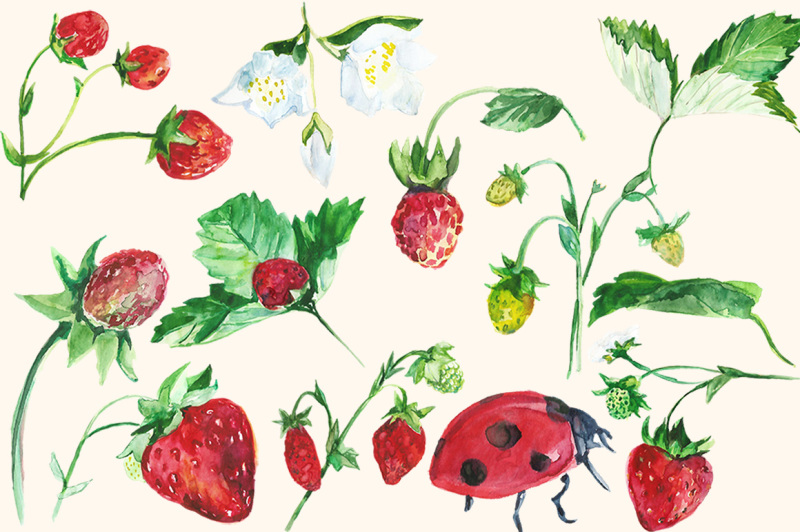 watercolor-strawberry-clip-art