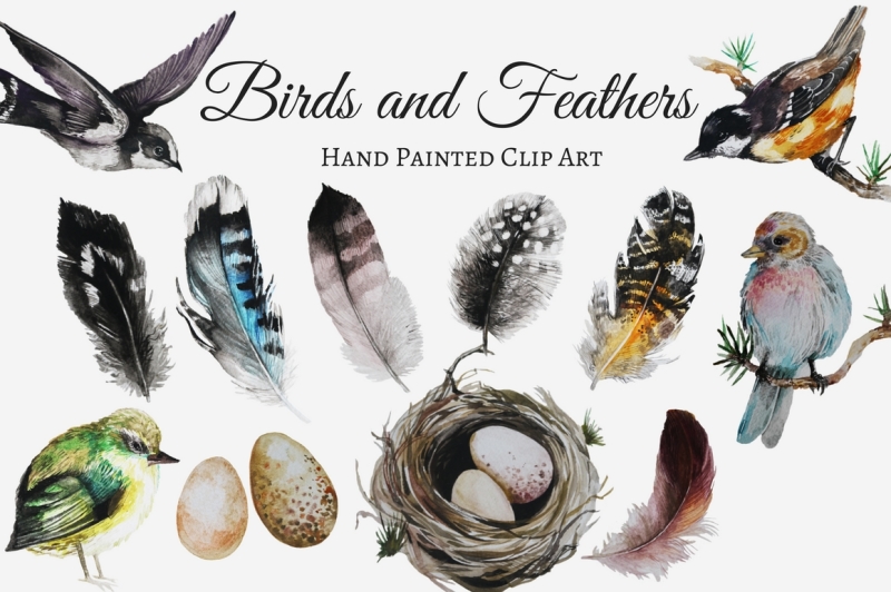 birds-and-feathers-watercolor-clip-art-set
