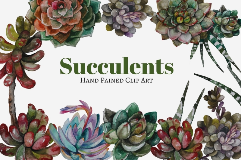 succulents-clip-art