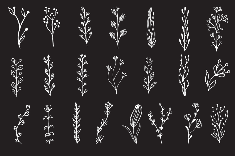 botanical-graphic-bundle-rustic-elements