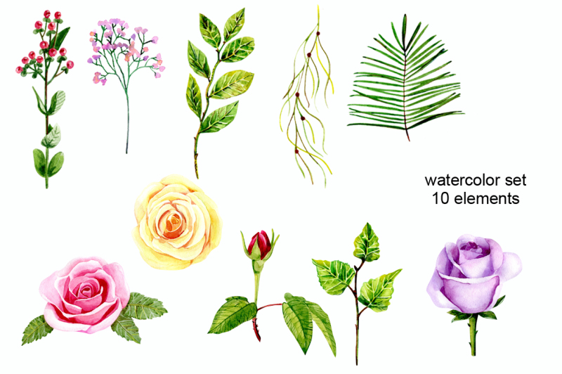 watercolor-roses