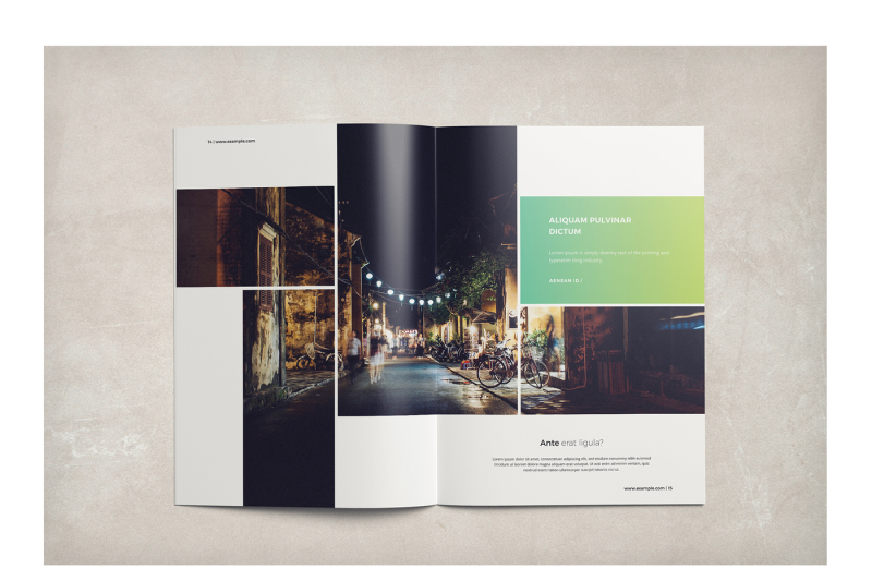 multipurpose-business-brochure
