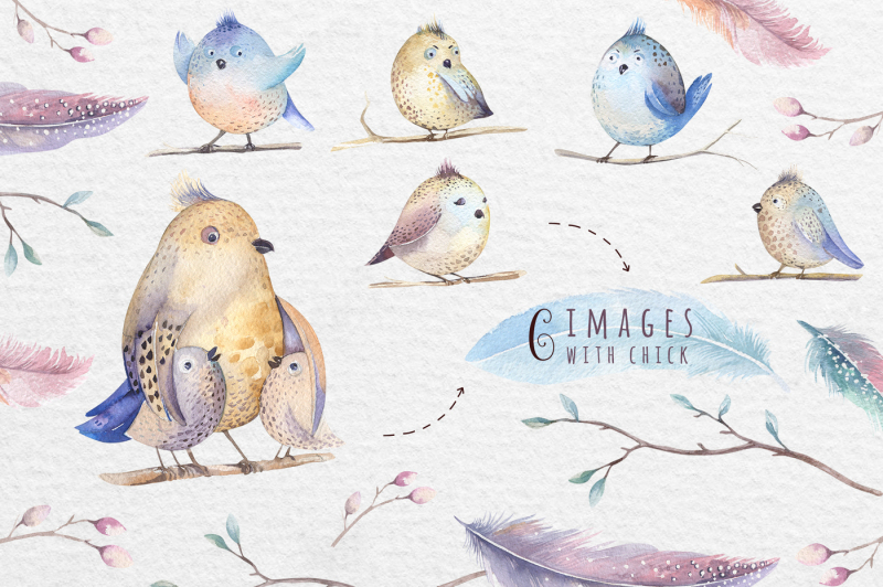 watercolor-birds-feathers-nests-floral-elements-and-patterns