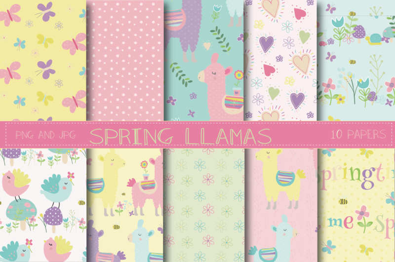 spring-llama-paper
