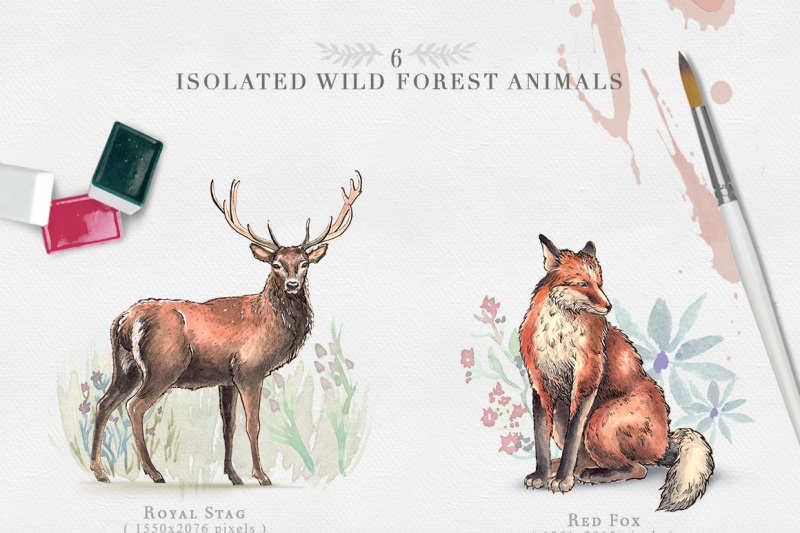 wild-forest-watercolor-collection