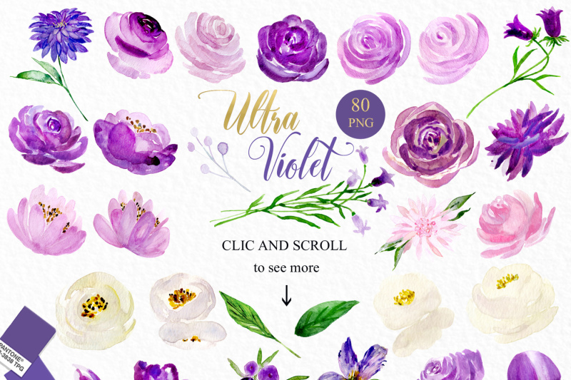 ultra-violet-watercolour-flowers-digital-clipart-hand-drawn-soft-purp