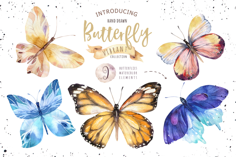 butterflies-vibrant-collection