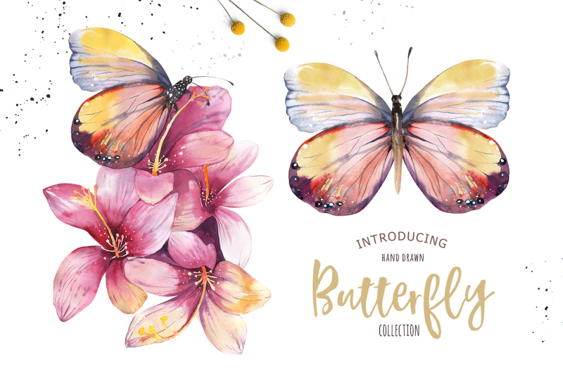 butterflies-vibrant-collection