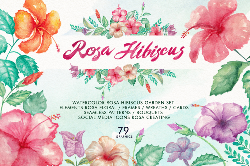 watercolor-rosa-hibiscus-flowers
