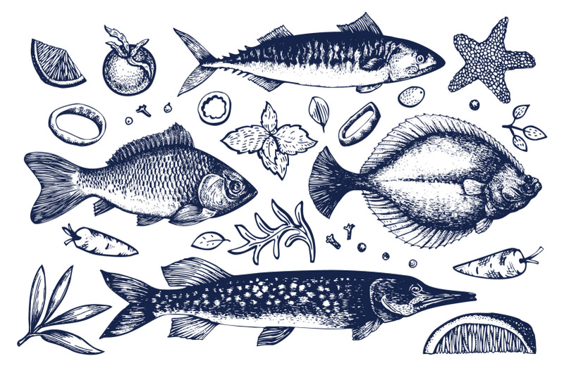 vector-seafood-collection