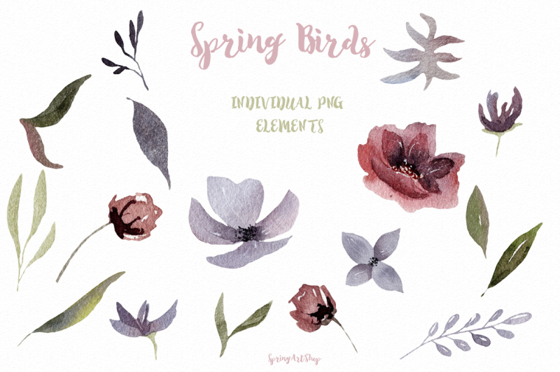 spring-birds-big-watercolor-clipart