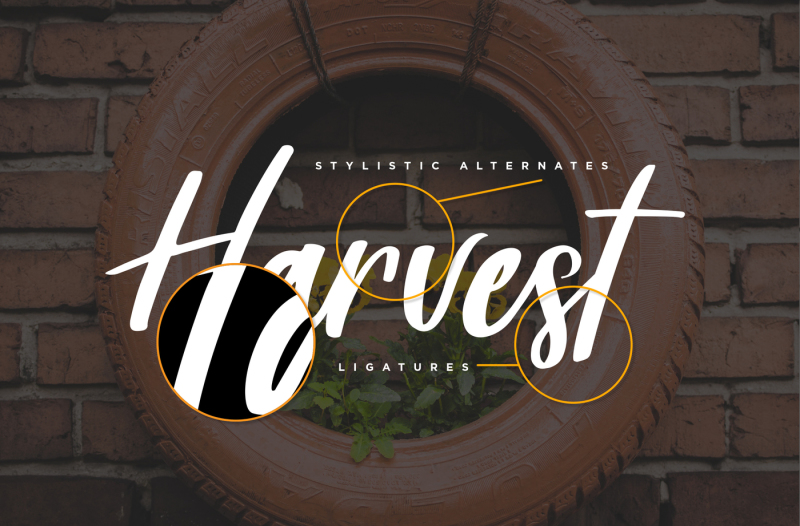 harvest-barn-farmhouse-casual