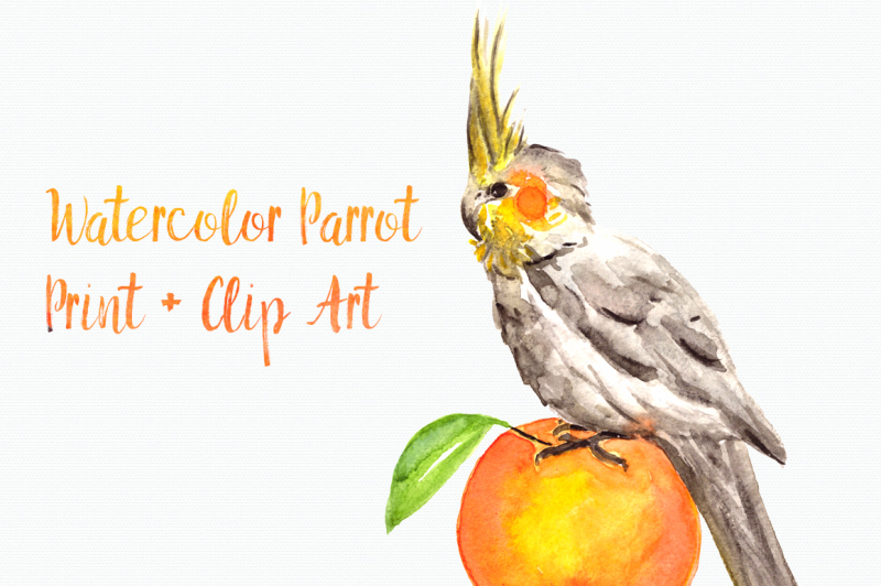 watercolor-parrot-print-clip-art