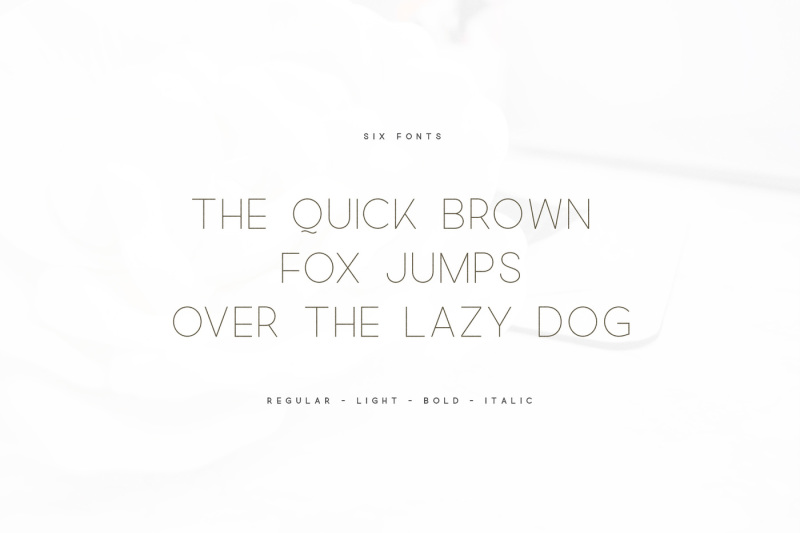 quick-an-elegant-sans-serif