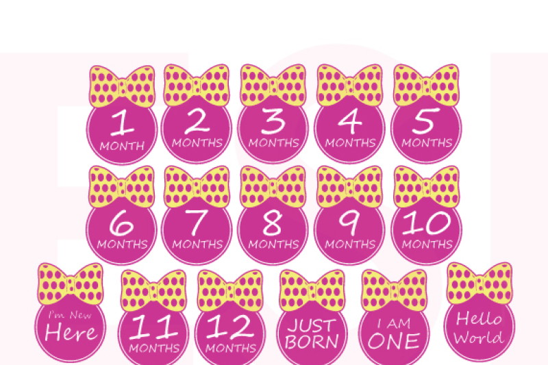 Baby Month Milestone Designs (Girl) - SVG, DXF, EPS files ...