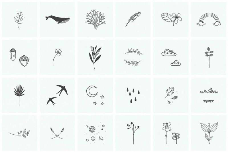 150-hand-drawn-elements-nature