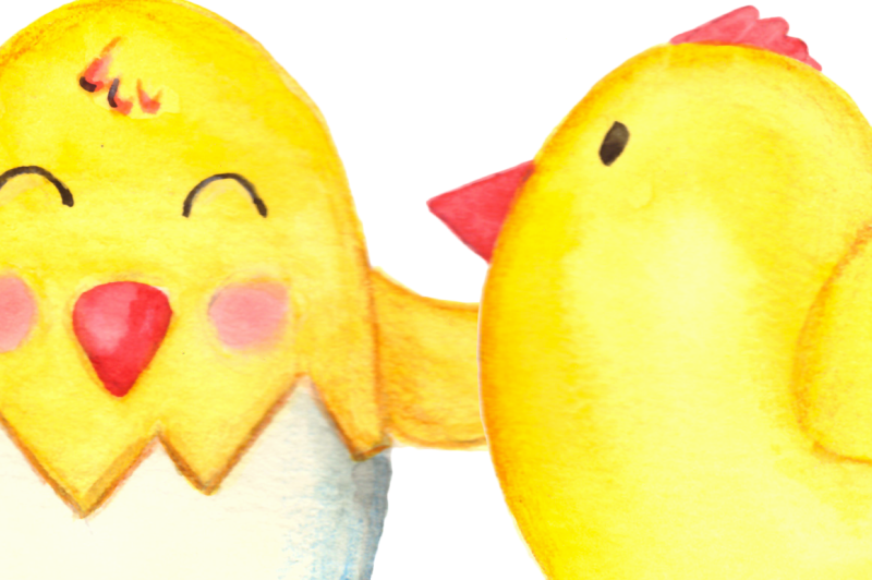 watercolor-bright-chicks-clip-art
