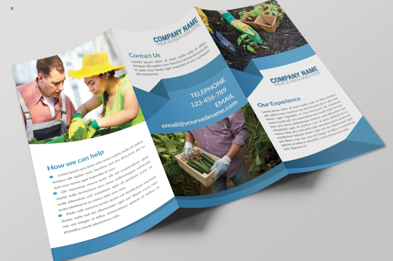 farm-fresh-products-trifold-template