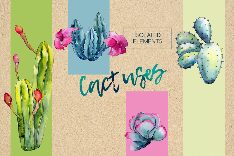 wildflower-cactus-png-watercolor-set