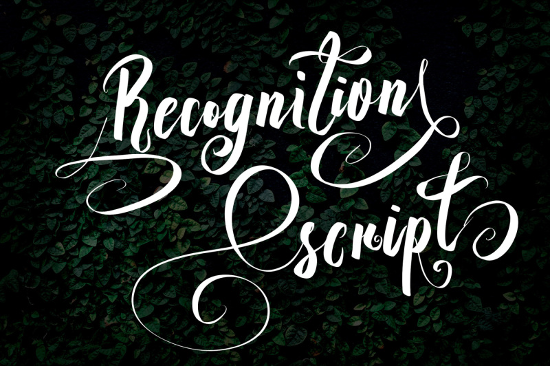 recognition-script