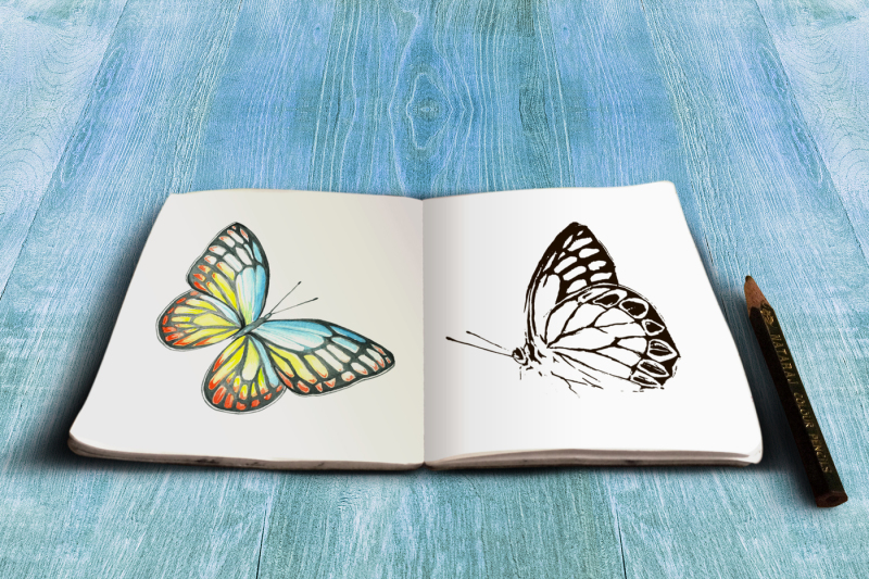 multicolored-butterfly-in-watercolor