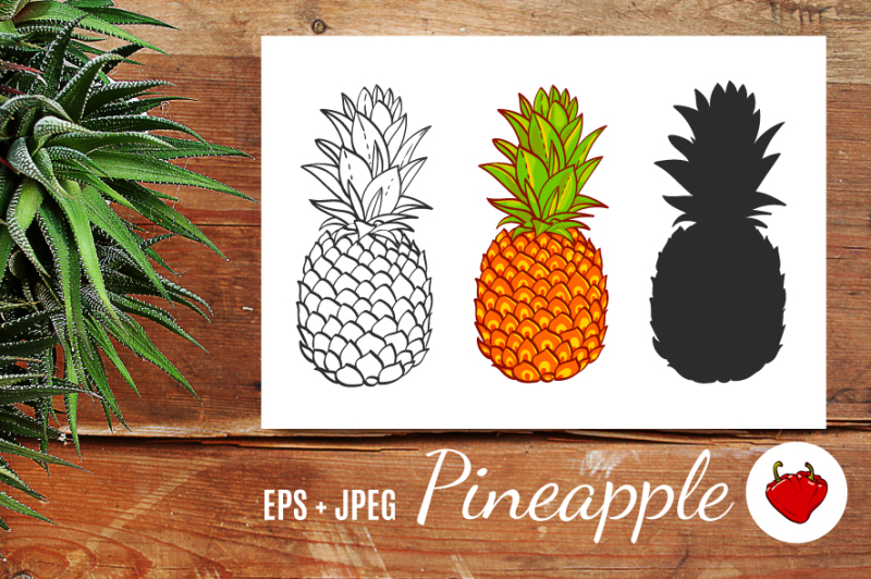 pineapple-hand-drawn-vector