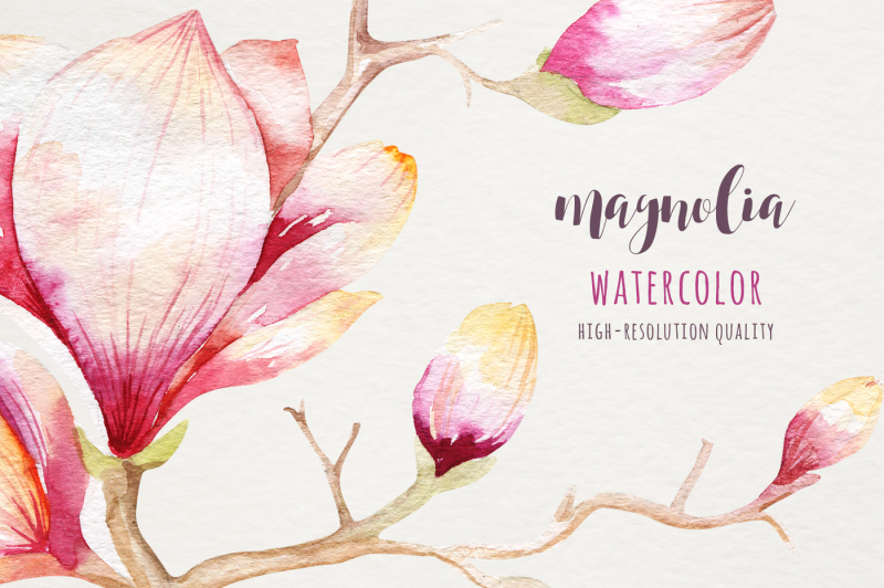 watercolor-magnolia