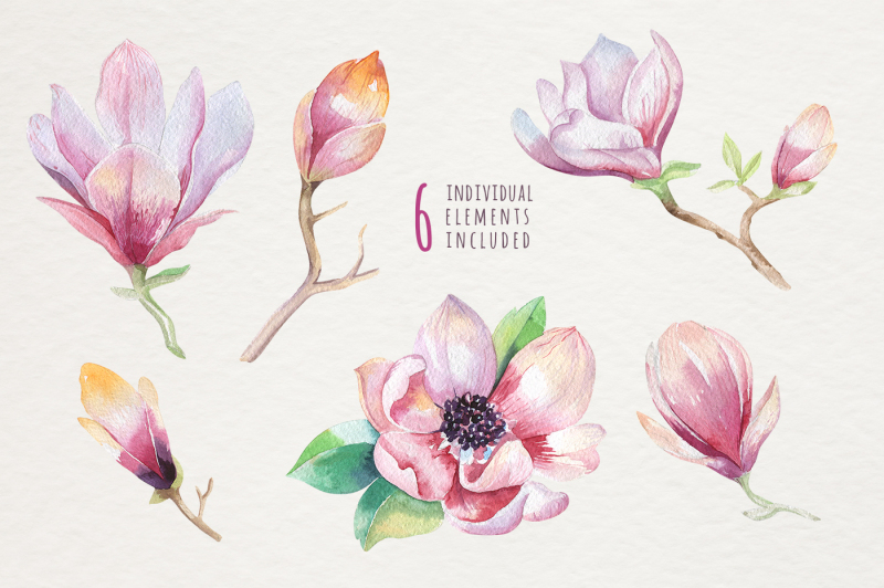 watercolor-magnolia