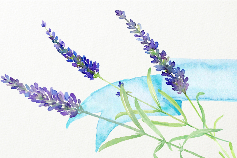 watercolor-clip-art-simply-lavender