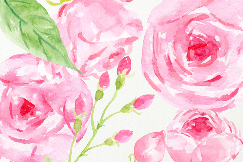 watercolor-clip-art-cottage-rose