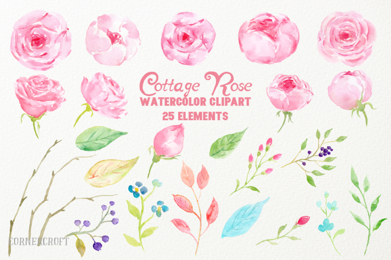 watercolor-clip-art-cottage-rose