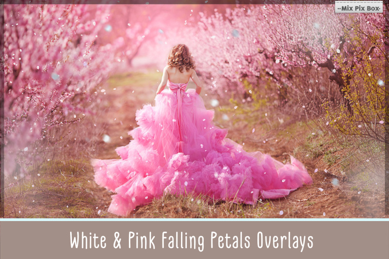 20-white-and-pink-overlays