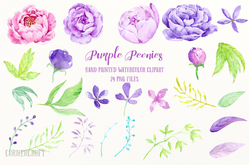 watercolor-clip-art-purple-peony