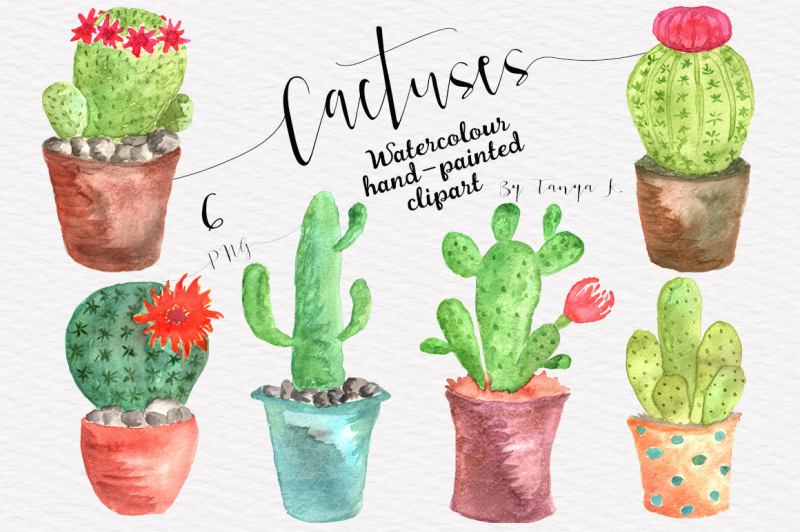 watercolor-cactuses-collection