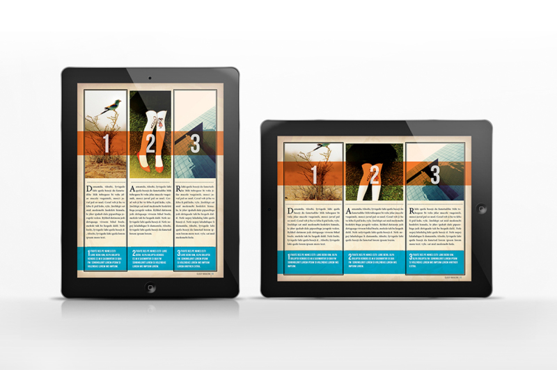 classy-mgz-for-tablet-indesign-template
