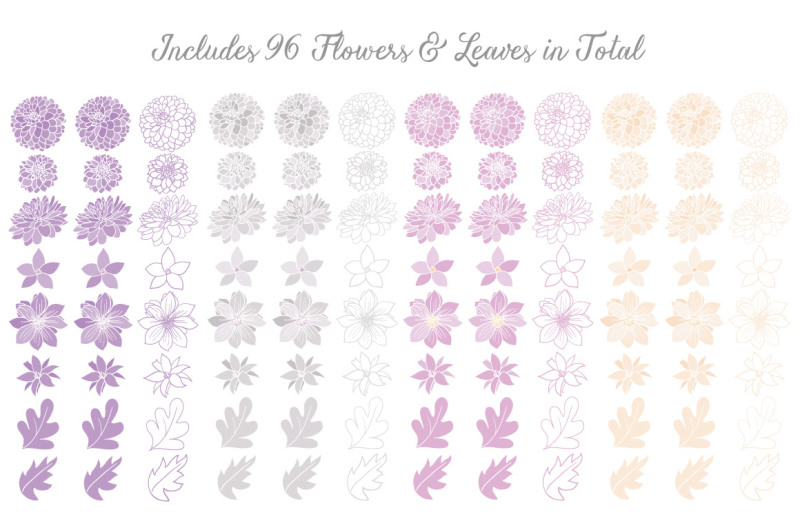 lucy-floral-dahlias-clipart-in-lavender