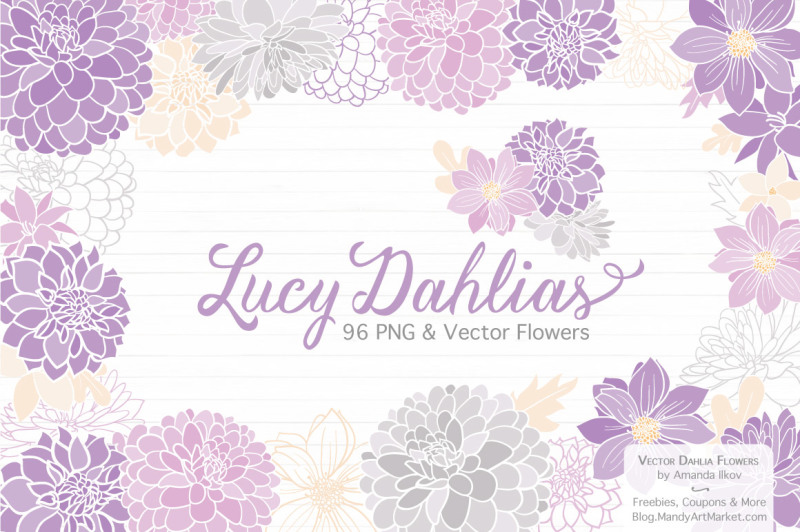 lucy-floral-dahlias-clipart-in-lavender