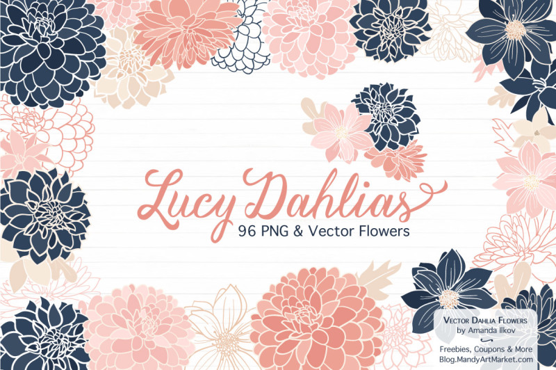 lucy-floral-dahlias-clipart-in-navy-and-blush