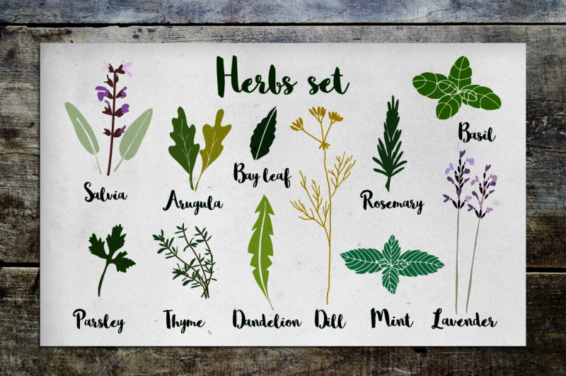 herbs-set