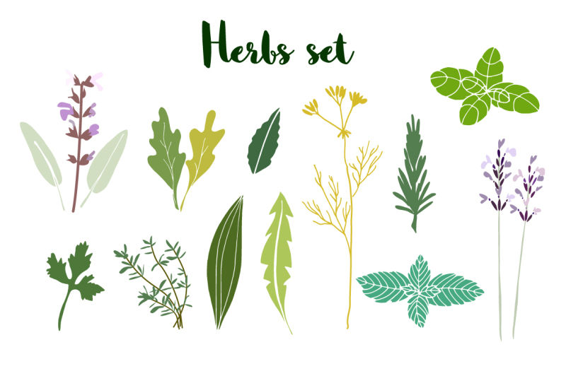 herbs-set