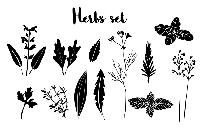 herbs-set