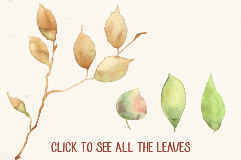 watercolor-flowers-and-leaves-pack