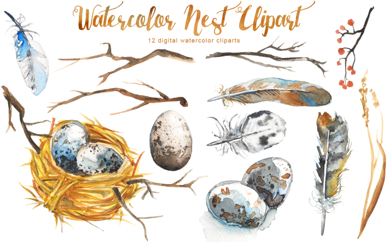 watercolor-nest-clipart