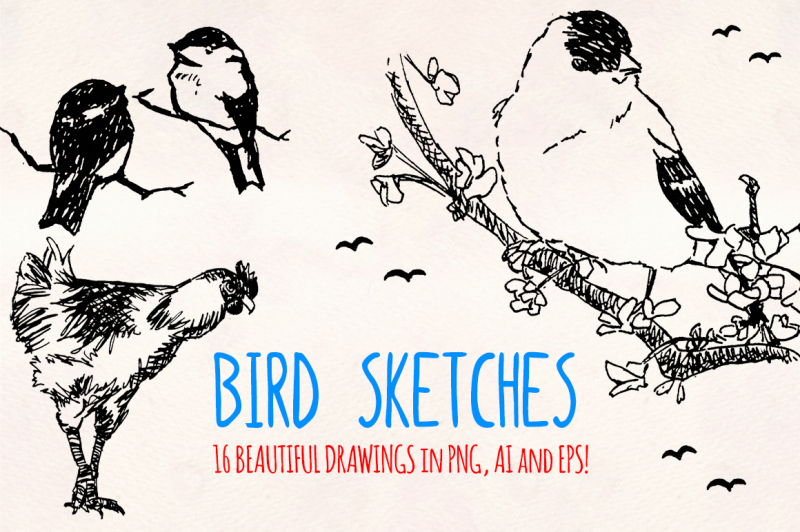 bird-sketch-elements-16-ink-owls-ducks-and-songbird-illustrations-vector-graphics-bundle