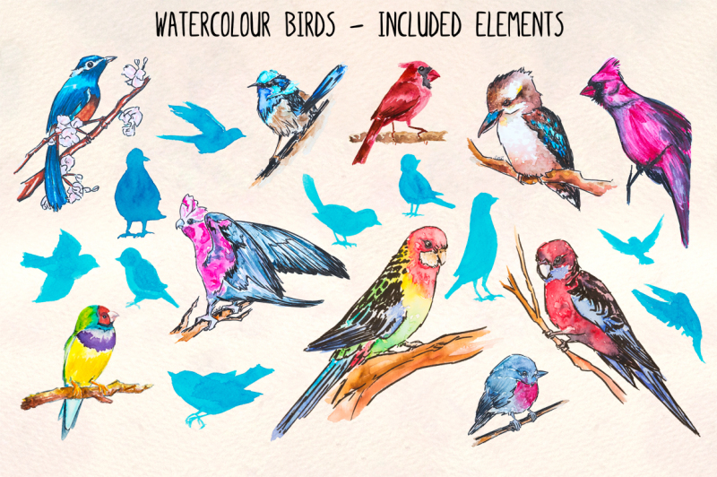 colourful-bird-watercolor-graphics-20-illustrator-elements-vector-graphics-bundle