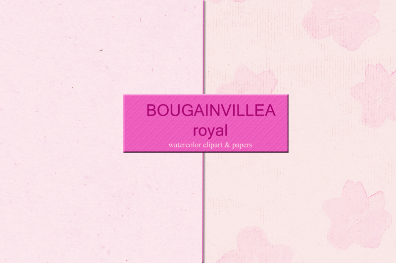 bougainvillea-and-fuchsia-clipart