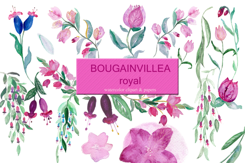 bougainvillea-and-fuchsia-clipart