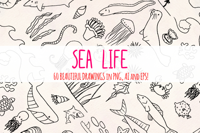sea-life-60-ocean-illustrations-vector-graphics-bundle
