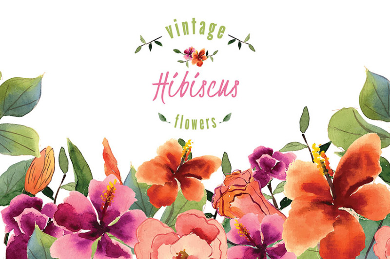hibiscus-watercolor
